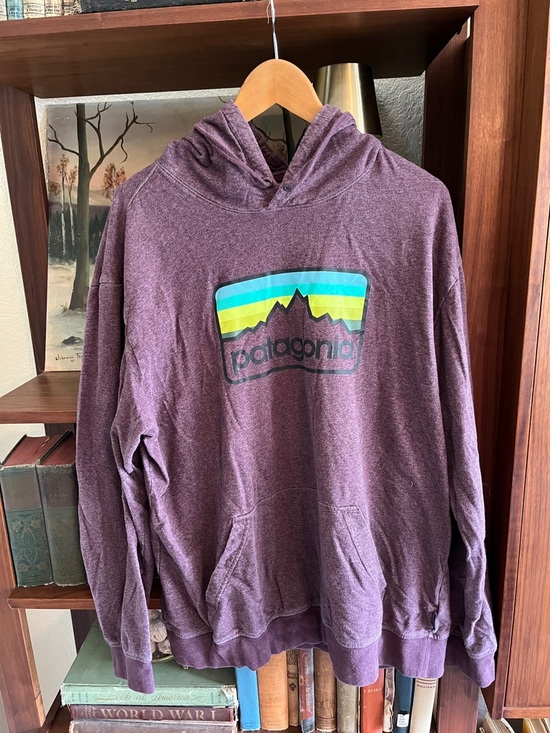 Patagonia Other - Patagonia Men's Maroon Crewneck Pullover with Multicolor Logo